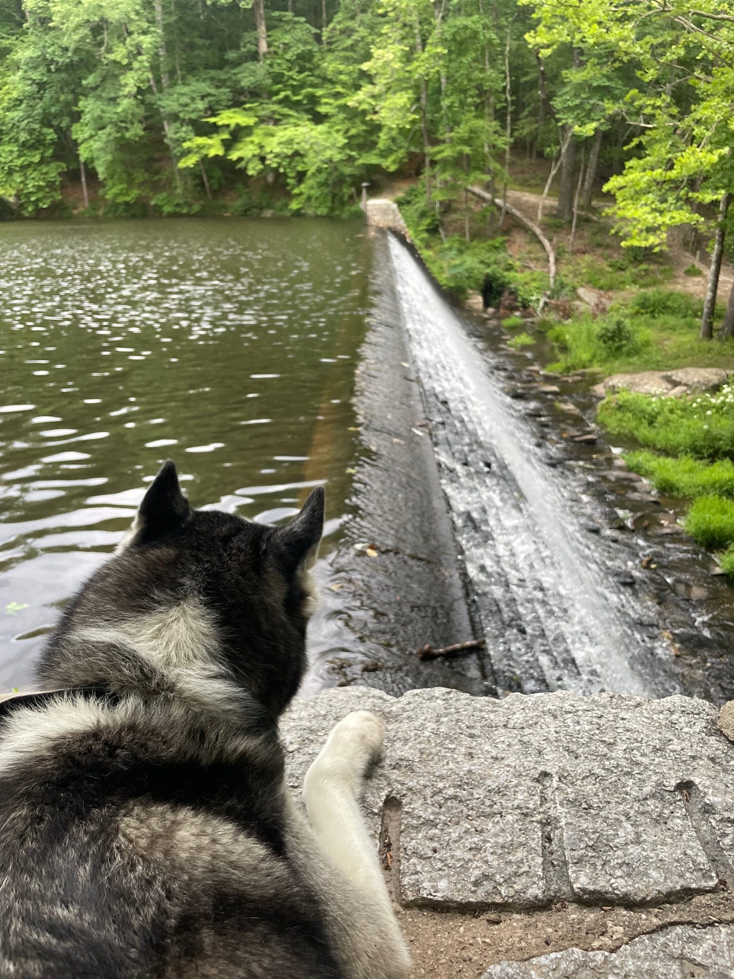 The view of the lake and damn behind the bathhouse