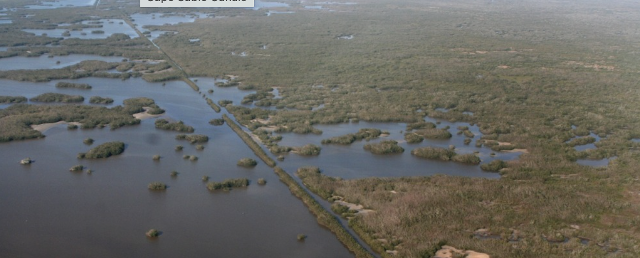 https://sparkysuperfan.com/wp-content/uploads/SparkySuperfan/Tracks/DaytonaInternationalSpeedway/StopsAlongWay/Everglades-National-Park.png